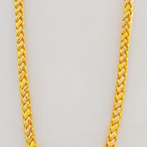 ANACONDA CHAIN